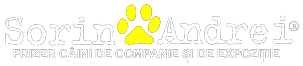 sorin andrei frizerie canina